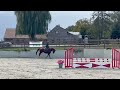 Hongre de 7 ans, +-1m65, BWP, par Nixon vh Meulenhof