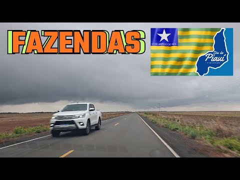 COMO é  Um dia CHUVOSO na FAZENDA no interior do PIAUÍ?