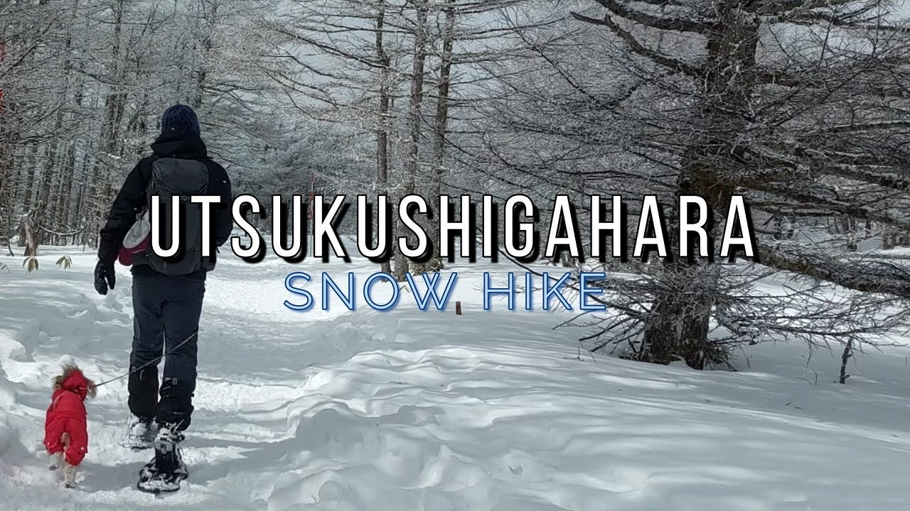 Embark on a breathtaking hike to Utsukushigahara Highlands amidst a mesmerizing snowfall.
