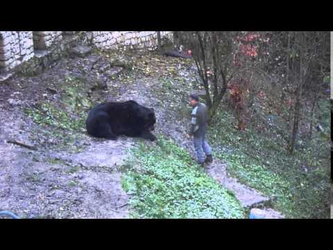 Gentleman Gipsy - Bruno, l'orso di San Romedio