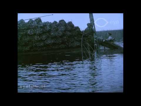 De Rolmattenindustrie te Genemuiden