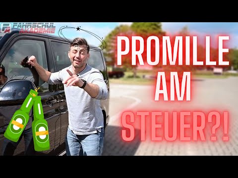 ALKOHOL am STEUER?! Wie viel ist erlaubt?