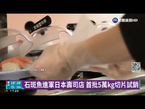 台灣石斑魚賣到日本 進軍迴轉壽司品牌