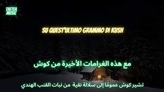 Download lagu Ghali - Wallah مترجمة mp3