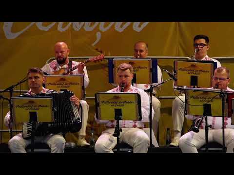 Orchestra Ansamblului Profesionist Drăgan Muntean din Deva - Suita de închieiere