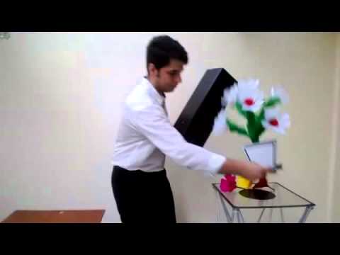 Tora Colorful Flower Vases From Tube by Tora Magic