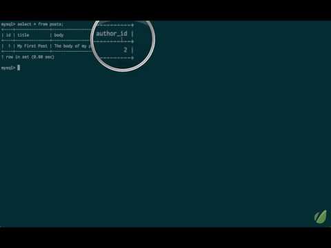27 Updating Rows and Columns