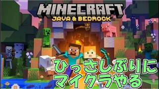 【配信】作業配信マインクラフト　拠点に村を作ろう！編