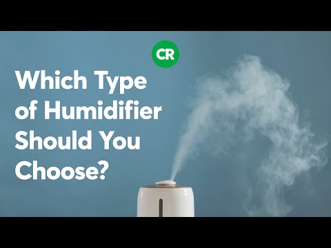 Which type of humidifier should you choose? | Consumer Reports