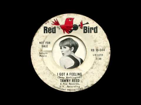 Tawny Reed - I've got a feeling (1965)