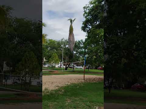 Ricaurte (Cundinamarca). lindo día. m.@.@🐎♏