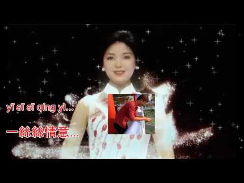 Teresa Teng - Wo zhi zai hu ni - 我只在乎你 - karaoke