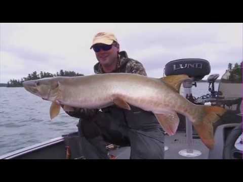 Musky Location Strategies in Summer