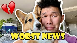 Heartbroken: The Worst News About My Corgi || Life After College: Ep. 742
