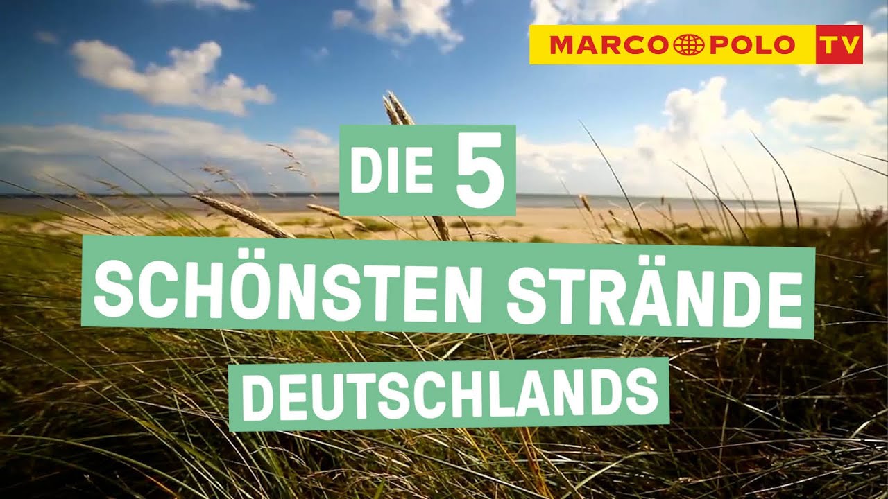 youtube video id=MpCCWpaKlcQ