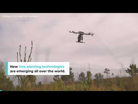 Tree Technology Around the World | One Tree Planted