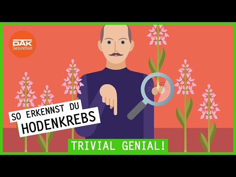 Symptome bei Hodenkrebs | #trivialgenial | DAK-Gesundheit