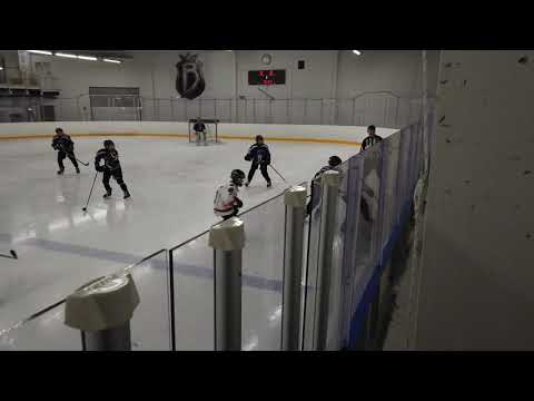 BJR08 Blue2  - Haukat Valkoinen erä 1