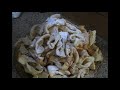 NO SUGAR Only 2 EGGS And 1 CUP Of FLOUR KHVOROST