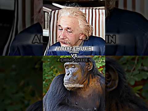 Albert Einstein vs Chimpanzee