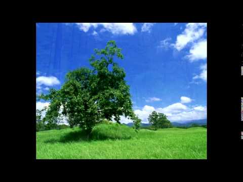 Vanja Lazarova - Petro, Petrolinko,