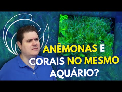 ANÊMONAS E CORAIS NO MESMO AQUÁRIO?