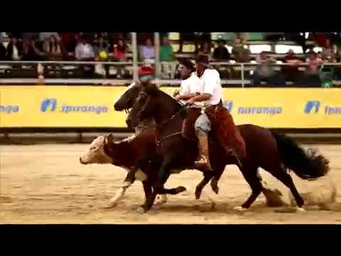 Alpaca Mouthpiece for Males 2017 - Peñarol da Boa Vista