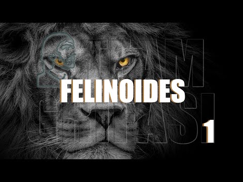 1016-ES Mónica, C177ºP1º: FELINOIDES - Hipnoperador Team Grifasi Elena Martín Método Grifasi