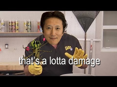 44 More Araki Forgot Moments