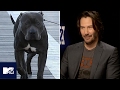 John Wick: Chapter 2| Keanu Reeves Reveals Dog's Name | MTV Movies