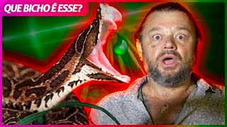 Miniatura do vídeo