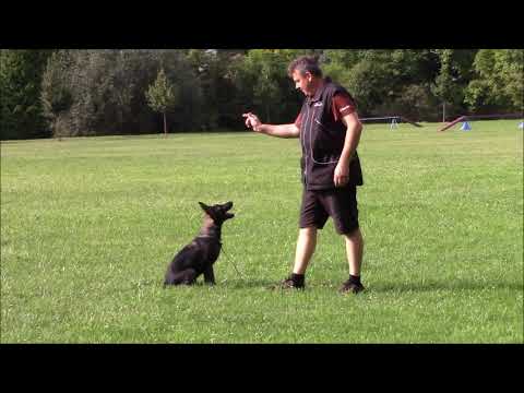 Yennie z Jukasu - training B+C - 3-4 months