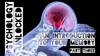 An Introduction to your Memory Lecture (Part Three)