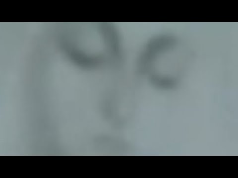 The picture revealing the hidden face of Holy Mary - taken during the apparitions at Zeitoun, Egypt!