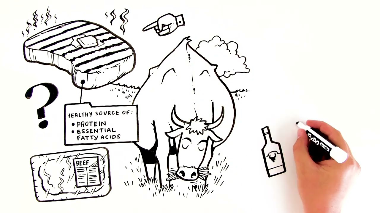 Criollo Beef - Lean and Tender Grass Fed Beef. Delicious and Healthy!