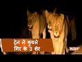 Speeding train kills 3 lions in Amreli district of Gujarat