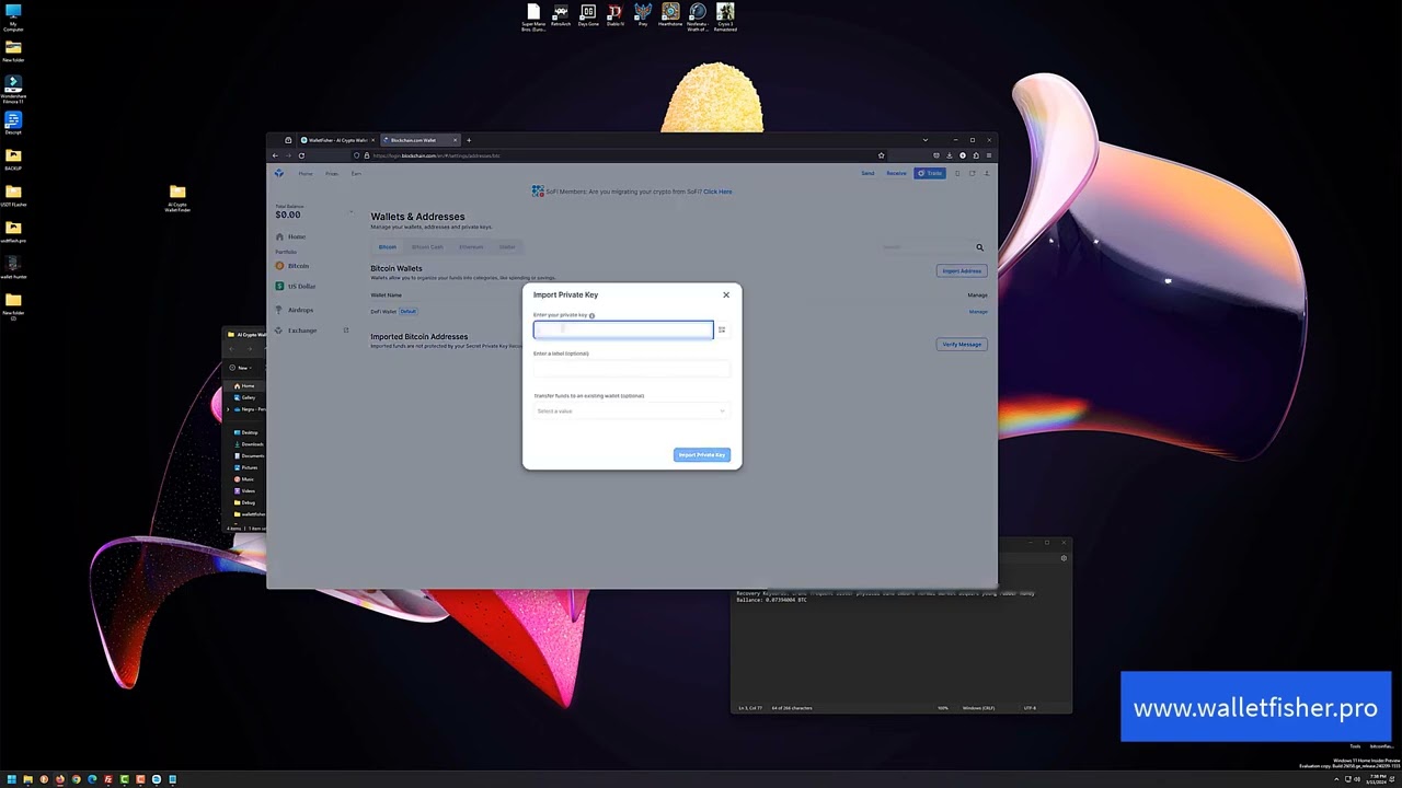 How to use AI Crypto Wallet Finder from WalletFisher to earn big money daily
