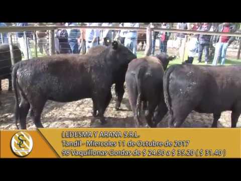 11-10-17 Venta de Hacienda al Kilo - Ledesma y Arana S.R.L. - Tandil.