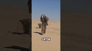 Download lagu Burung Gurun Ini Harganya $1,2 Juta 🤯 mp3