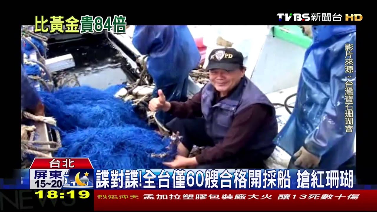 ​年商機60億！海底寶石紅珊瑚　船隻搶開採