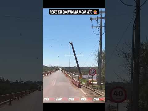 PEIXE EM QUANTIA NO JACUÍ