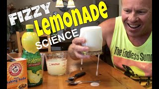 Watch Baking Soda and Lemon Juice React - Amazing Fizz!