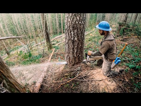 Steep Hillside Logging Adventure! | Part 1