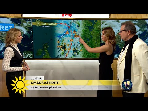 "Varning för snöfall!" - Nyhetsmorgon (TV4)