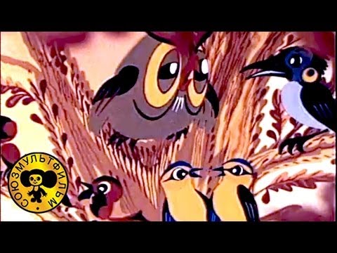 Мультики: Aй aй aй!