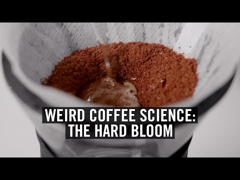 奇妙なコーヒーの科学ハードブルーム (Weird Coffee Science: The Hard Bloom)