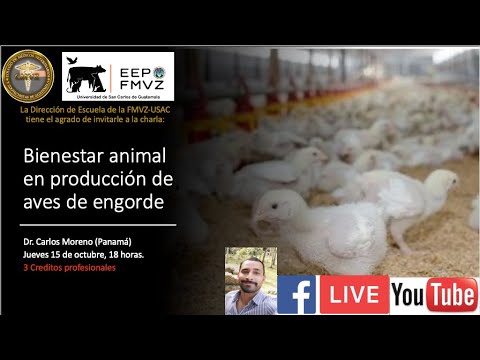 , title : 'Bienestar animal en unidades de producción de pollo de engorde.'