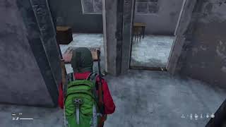 DAYZ 極限サバイバル