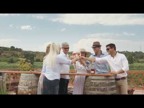 Barcelona Wine Experience