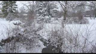 Vivaldi's Four Seasons - Winter